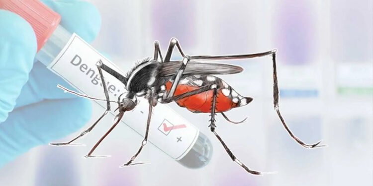 हुम्लाबाहेक देशभर डेङ्गी सङ्क्रमण