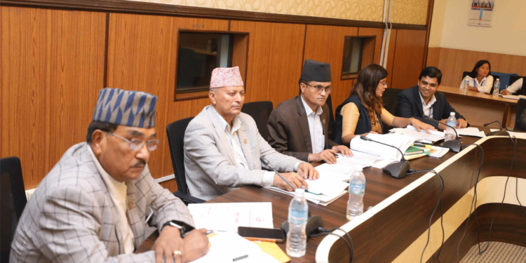 रवि लामिछानेलाई दाषी ठहर्‍याउँदै आज प्रतिवदेन बुझाइने