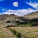 खुलेको मुस्ताङ र फुलेको फापर