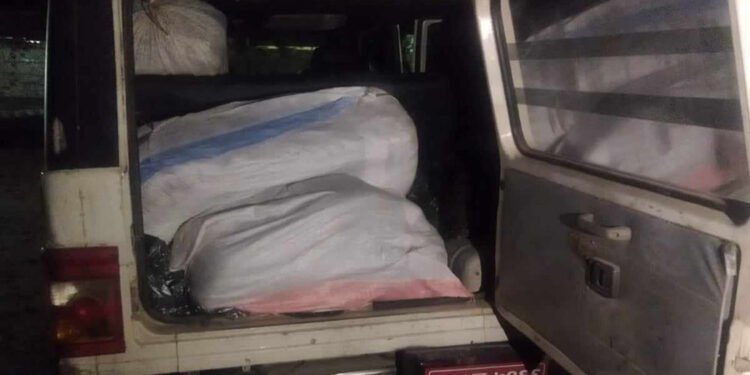 सुनसरीबाट करीब ४८० केजी गाँजा बरामद