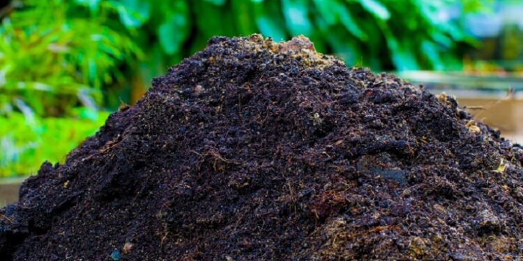 बायोग्यासबाट जैविक मल र एलपी ग्यास उत्पादन