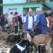 दसैं नजिकियो, खसी–बोकाको बढ्यो व्यापार