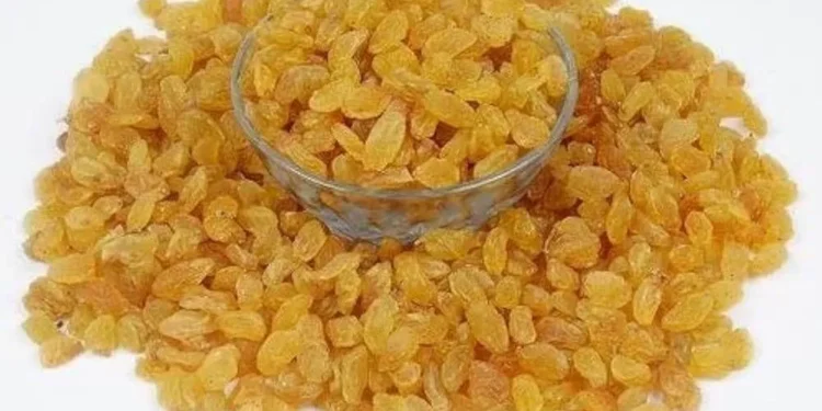 किसमिसलाई रातभर दूधमा भिजाएर खाँदा हुन्छ यतिधेरै फाइदा