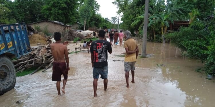 मधेश प्रदेशमा बाढीबाट तीनजनाको मृत्यु