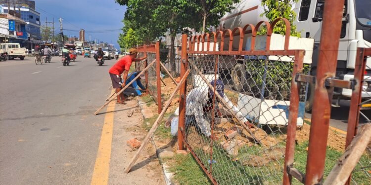 सडकका बिचमा लगाइएका बिरुवा जोगाउन तारजाली