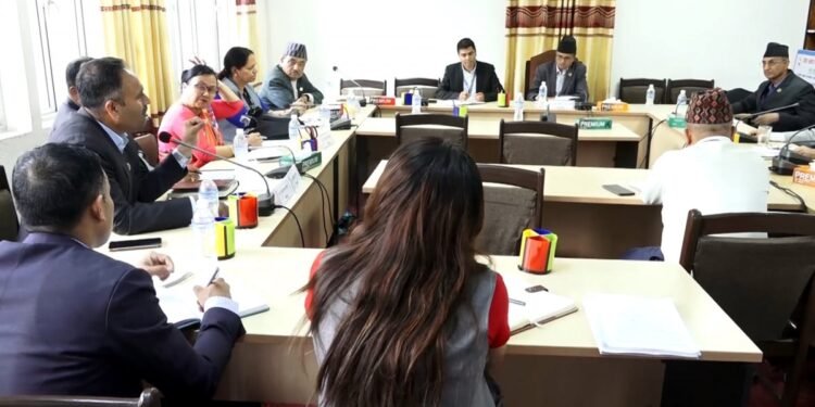 सहकारीको बचत ठगि छानबिन गर्न गठित संसदीय छानबिन समितिको म्याद थपिँदै