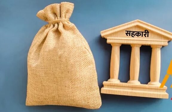 कोशी प्रदेशका ७८ सहकारी उच्च जोखिममा