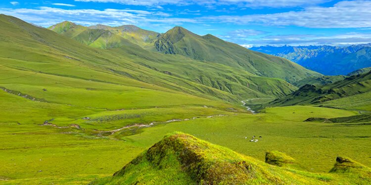 आन्तरिक पर्यटकको रोजाइमा बराहताल र बुकीपाटन