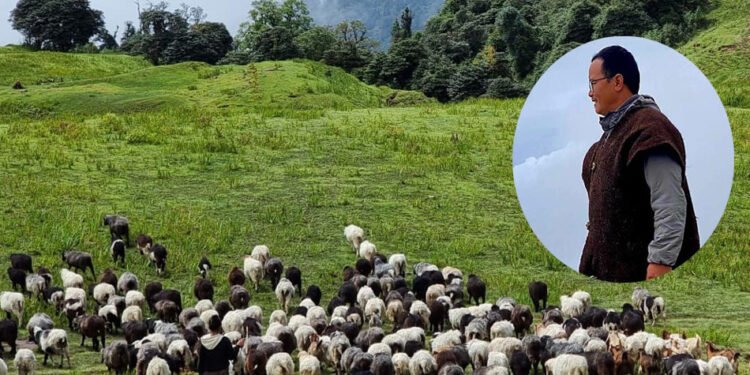 पढाइ स्नातकोत्तर, काम भेडा चराउने !