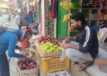 दसैँलाई कोसेली मुस्ताङी स्याउ