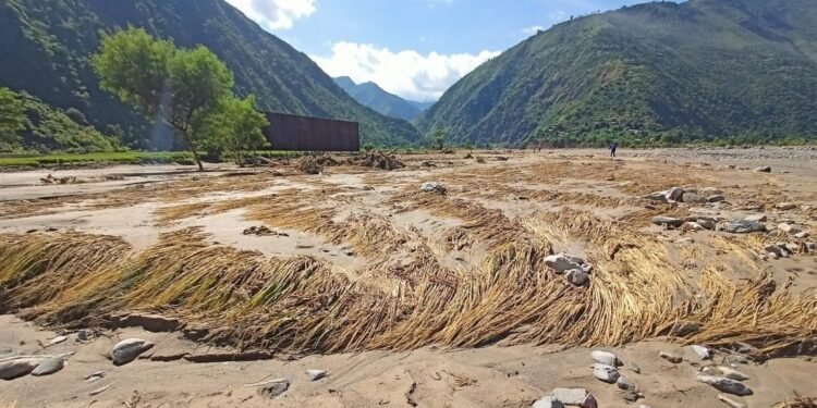 कोशी प्रदेशमा ३४ करोड मूल्य बराबरको अन्नबालीमा क्षति