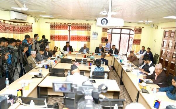 बाढीपहिरो र डुबानबाट प्रभावितलाई राहत र पुनर्स्थापनाको व्यावस्थापन मिलाउन सरकारलाई समितिको निर्देशन