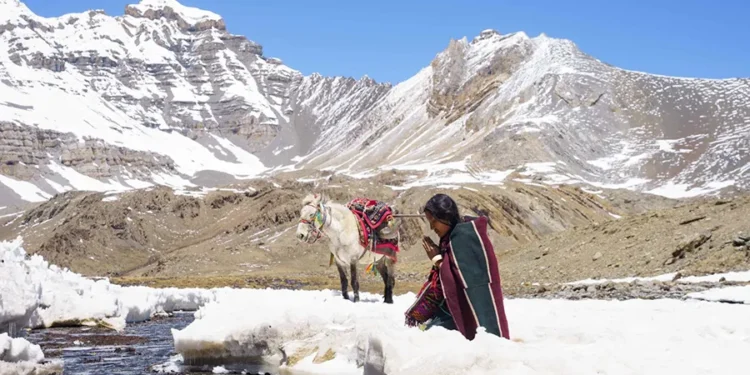 फिल्म ‘शाम्बाला’ले जित्यो स्पेसल मेन्सन अवार्ड