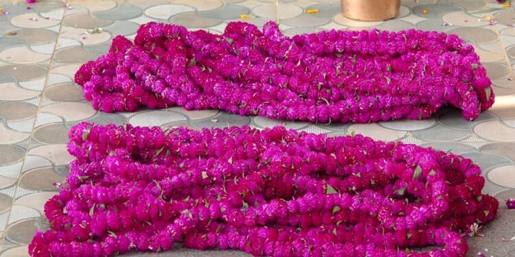 महानगरपालिका क्षेत्रभित्रका ४६ स्थानमा तिहारका लागि स्वदेशी फूल बेच्न पाइने