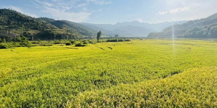 कर्णालीमा किसानका दु:ख उस्तै, एकीकृत कृषि प्रयोगशाला आफैँ बिरामी