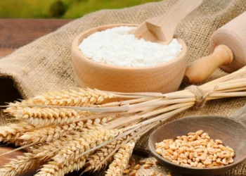 मैदाको सेवनले हामीलाई कसरी हानी गर्छ? स्वास्थ्यका हिसाबले कति उचित?