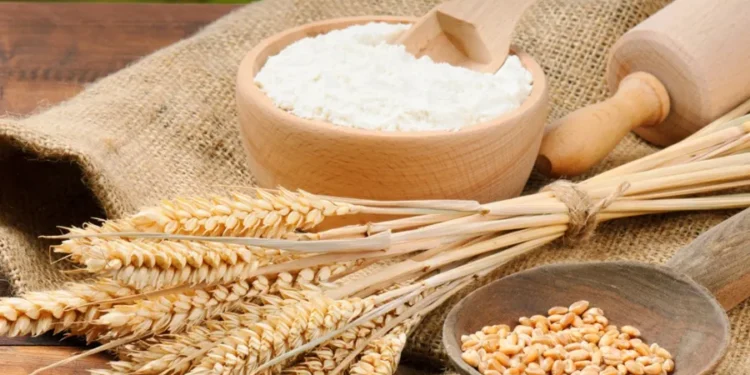 मैदाको सेवनले हामीलाई कसरी हानी गर्छ? स्वास्थ्यका हिसाबले कति उचित?