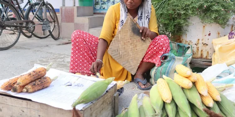 मकै बेचेर जीवन निर्वाह