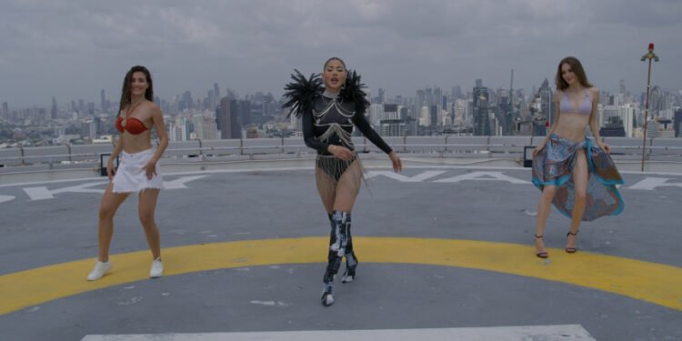 एउटा म्युजिक भिडियो निर्माणको लगानी ६० लाख!