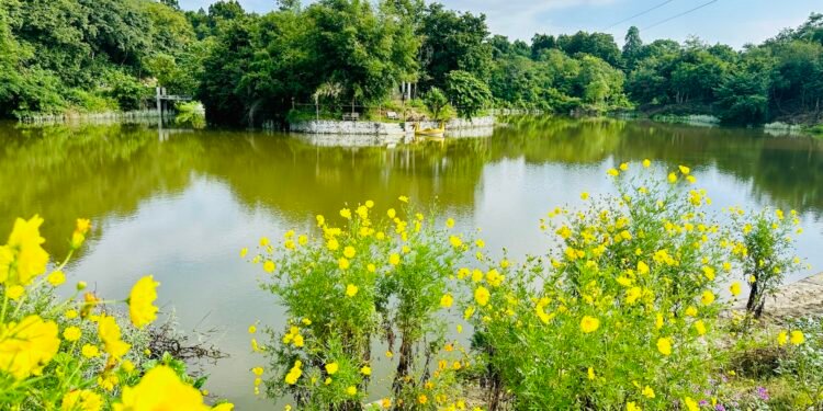 पर्यटक लोभ्याउने सिरहाको ‘गोसाइ डाँडा ताल’