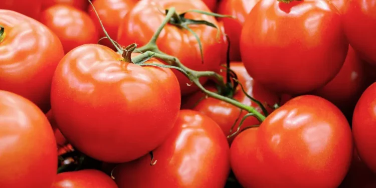 कुन टमाटर तपाईंको स्वास्थ्यको लागि राम्रो छ ?