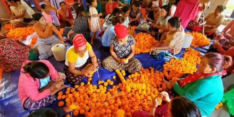 तनहुँको सयपत्री कतार निर्यात