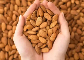 जान्नुहोस दिनमा कति वटा बदाम खानु पर्छ ?