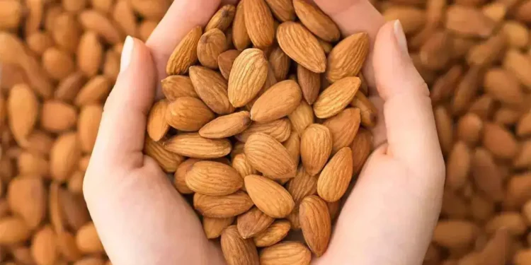 जान्नुहोस दिनमा कति वटा बदाम खानु पर्छ ?