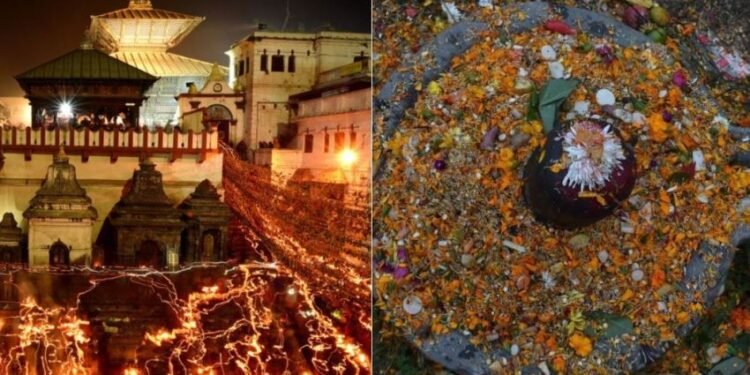मार्ग शीर्ष कृष्ण चतुर्दशीः शतबीजारोपण मार्ग, शिवालयमा शतबीज छरिँदै