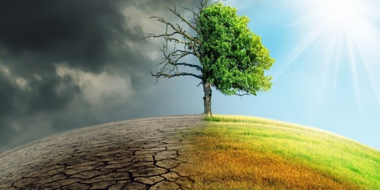 कोप– २९ मा उठाउने ‘एजेण्डा’ को तयारीमा नेपाल