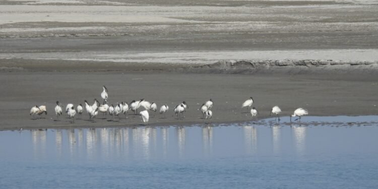 जलवायु परिवर्तन प्रभावको असर विदेशी पर्यटक चरामा