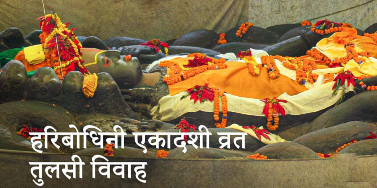 तुलसी र दामोदरको विवाह गरी हरिबोधिनी एकादशी पर्व मनाइँदै