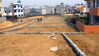 घरजग्गा कारोबारः सबैभन्दा बढी झापामा हुँदा अन्य जिल्लामा कति ?