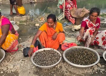 महिलाका लागि आम्दानीको आधार बन्दै घोँगी व्यापार
