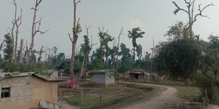 बीस वर्षदेखि सुकुम्बासीको प्रश्न : जग्गा कहिले पाइन्छ ?