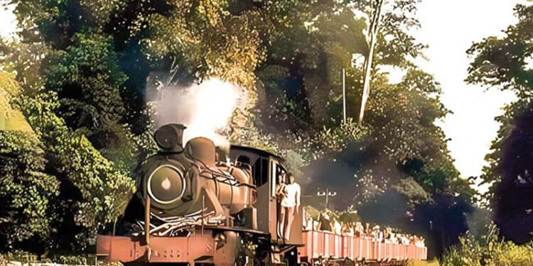 गाडी नदेख्दै कोशीवासीले चढेका थिए नेपालमै रेल