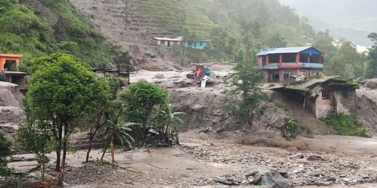 बाढीपहिरो : काभ्रेपलाञ्चोकमा ३ हजार बढी रुखमा क्षति