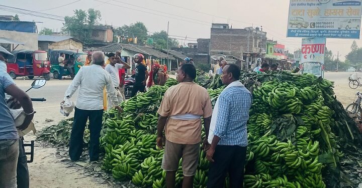 छठका लागि भारतबाट ५० लाखका केरा आयात