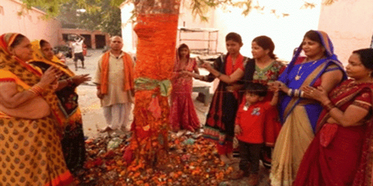 मिथिलामा आज अक्षय नवमी पर्व मनाइँदै