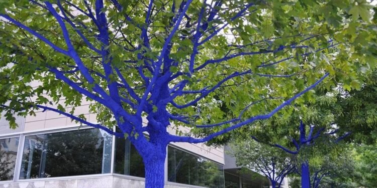 भरतपुर अस्पतालमा ‘निलो रूख’