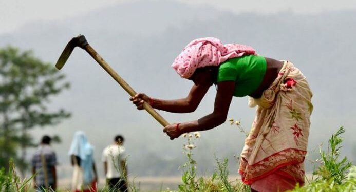 कृषि क्षेत्र उपेक्षित भएको महोत्तरीका मतदाताको गुनासो