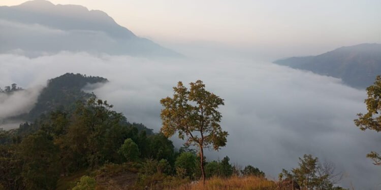 कुहिराे भित्र लुटुमुटु जैदी (तस्बिरहरू)