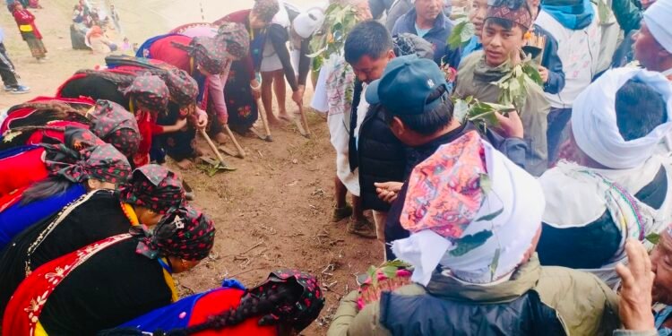 ‘भुस पोल्ने पर्वले श्रम संस्कृतिलाई प्रोत्साहित गर्छ’