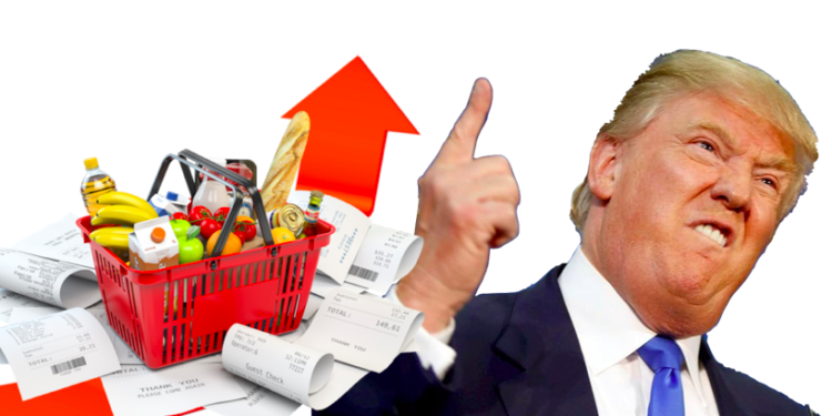 अमेरिकामा मेक्सिको र क्यानाडाबाट आयात हुने सामानमा २५% भन्सार बढाउने ट्रम्पको घोषणा