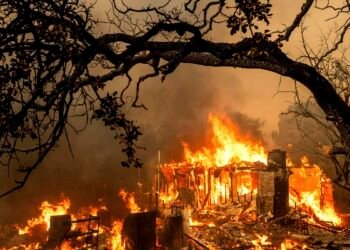 क्यालिफोर्नियाको जंगलमा भीषण आगलागी, आसपासका बस्ती खाली गर्न आदेश