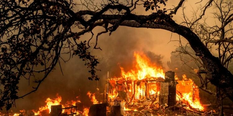 क्यालिफोर्नियाको जंगलमा भीषण आगलागी, आसपासका बस्ती खाली गर्न आदेश