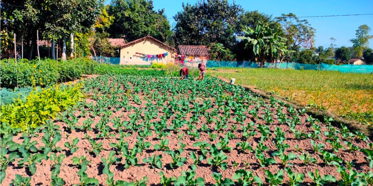 लुम्बिनी प्रदेशमा विषादीबारे सचेतना अभियान