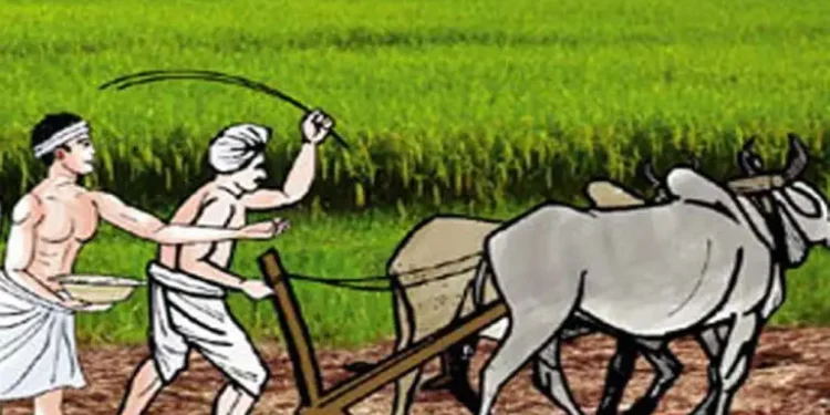 भूमिगत जलस्रोत कार्यालय प्रमुखविहीन हुँदा किसान मारमा