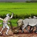 भूमिगत जलस्रोत कार्यालय प्रमुखविहीन हुँदा किसान मारमा
