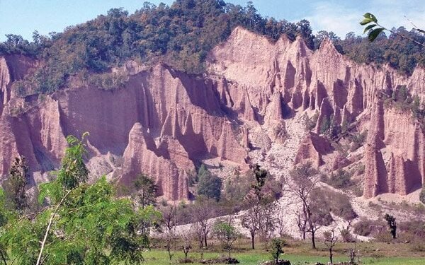 चुरेमा बाँस रोप्न दातृ निकाय खोज्दै सरकार